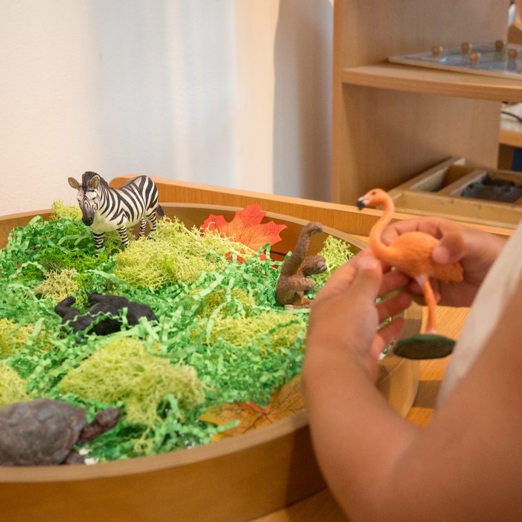 A child playing with animal figures in a nature-themed sensory tray